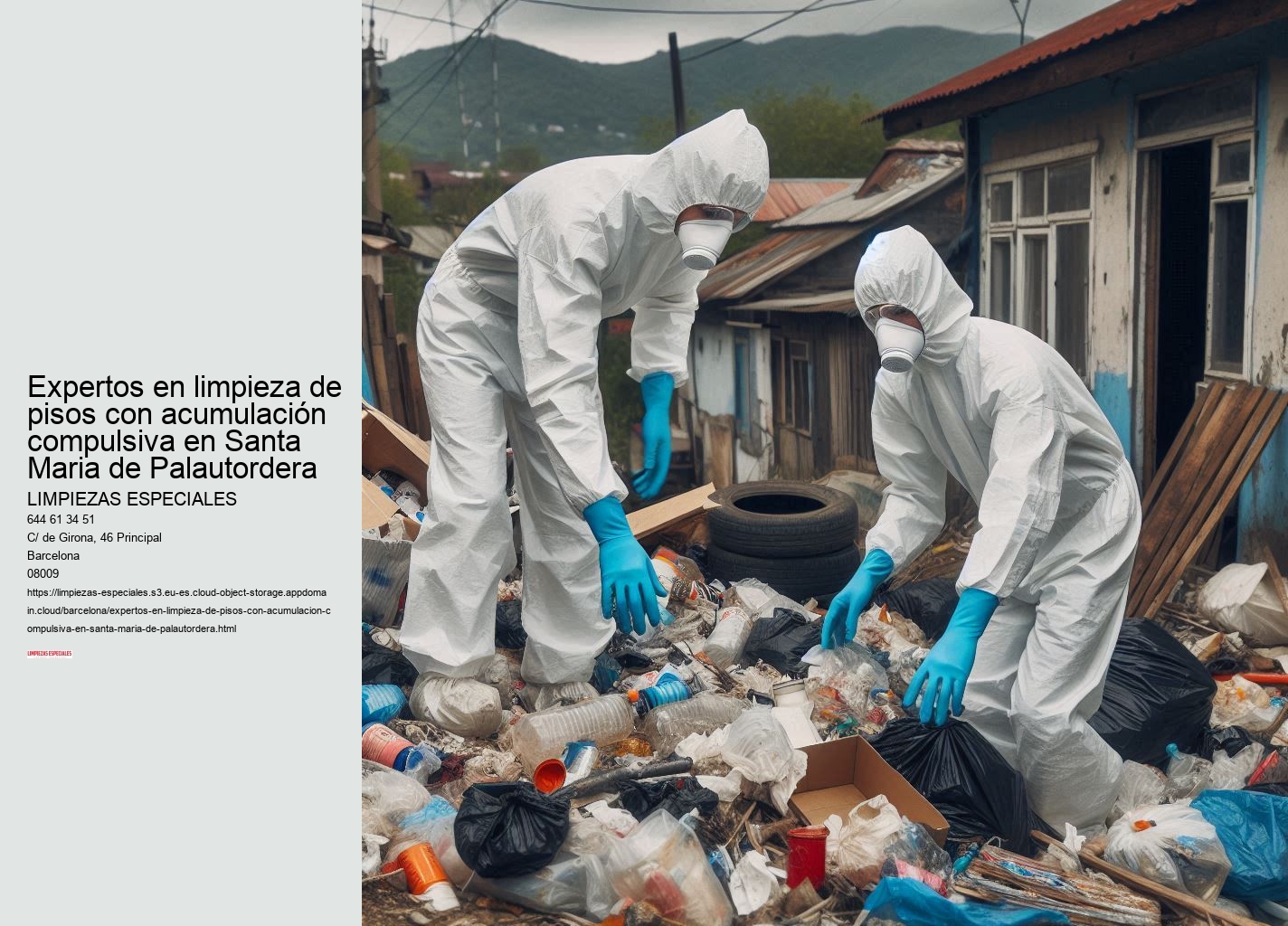El papel de los servicios sociales en el síndrome de Diógenes
